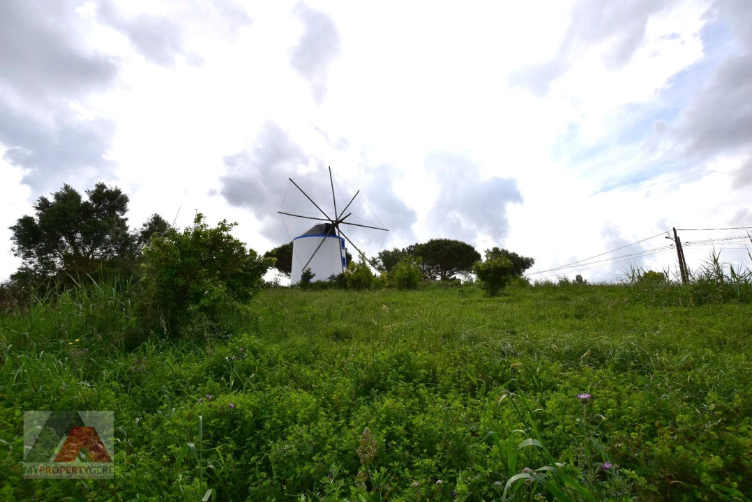 Terreno P/ Prédio para Venda em Santa Maria, São Pedro e Matacães Foto 7