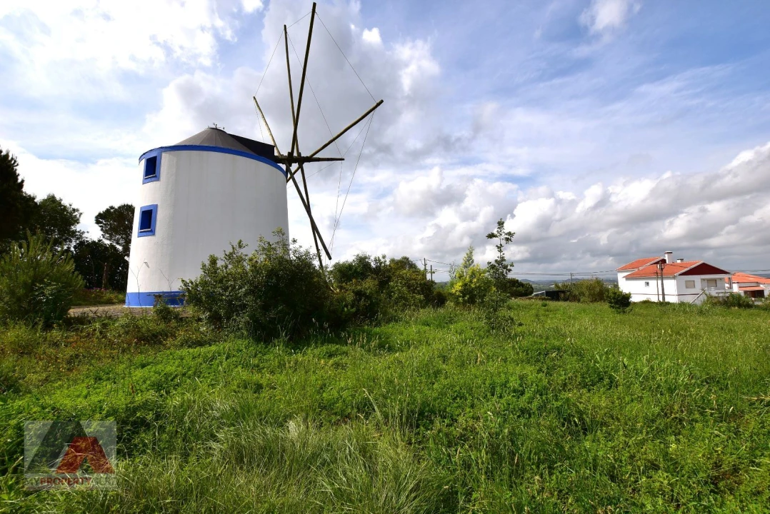 Terreno P/ Prédio para Venda em Santa Maria, São Pedro e Matacães Foto 4