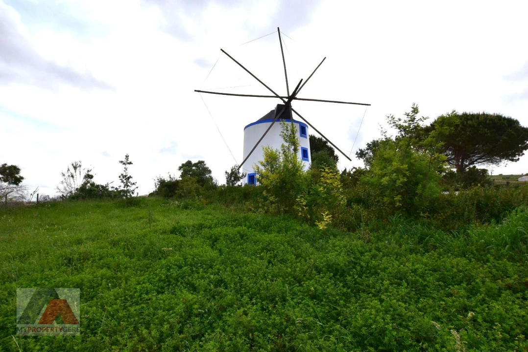 Terreno P/ Prédio para Venda em Santa Maria, São Pedro e Matacães Foto 11