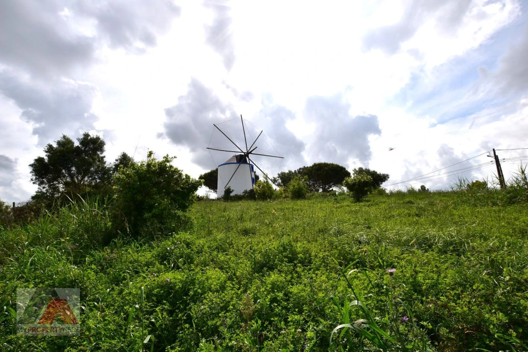 Terreno P/ Prédio para Venda em Santa Maria, São Pedro e Matacães Foto 21