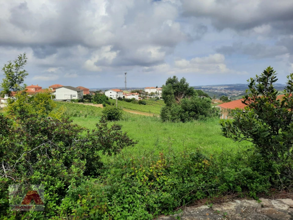 Terreno P/ Prédio para Venda em Santa Maria, São Pedro e Matacães Foto 1