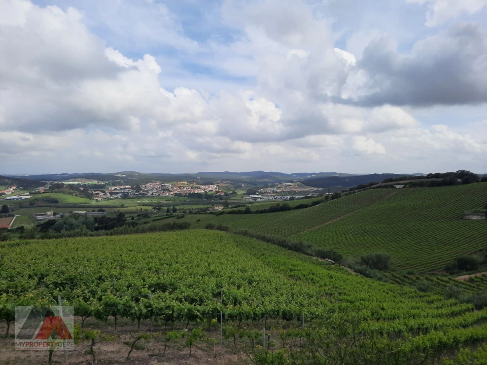 Terreno P/ Prédio para Venda em Santa Maria, São Pedro e Matacães Foto 14