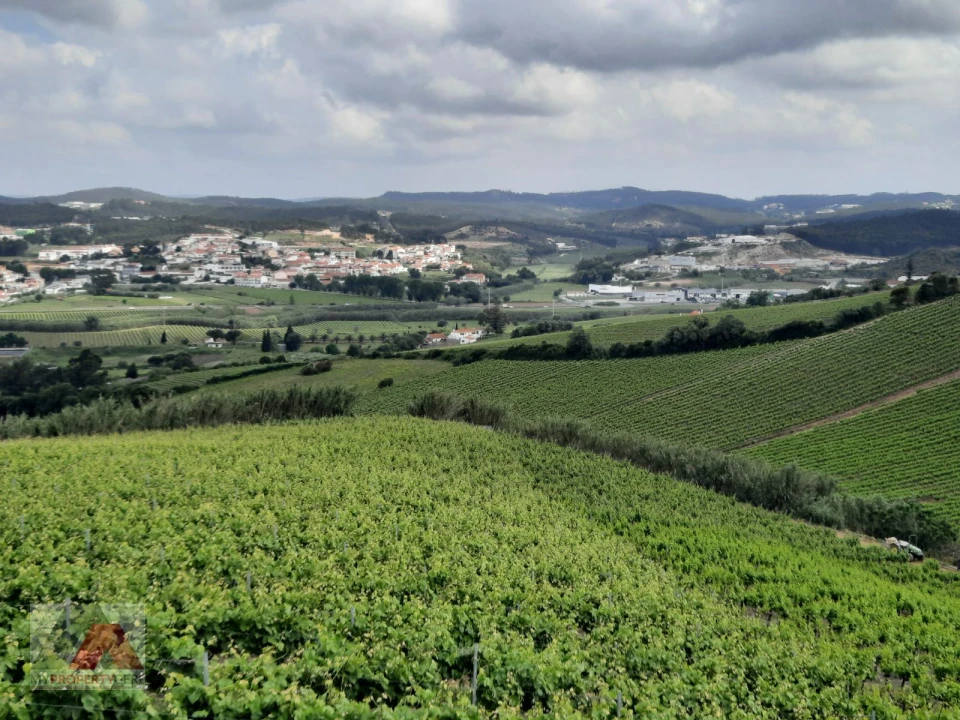 Terreno P/ Prédio para Venda em Santa Maria, São Pedro e Matacães Foto 17