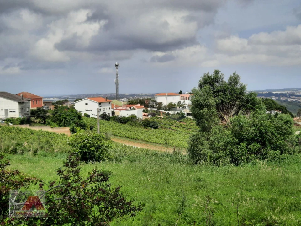 Terreno P/ Prédio para Venda em Santa Maria, São Pedro e Matacães Foto 22