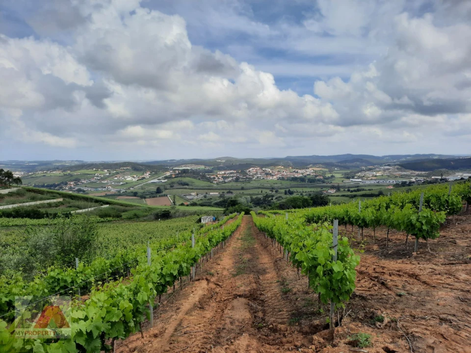 Terreno P/ Prédio para Venda em Santa Maria, São Pedro e Matacães Foto 24