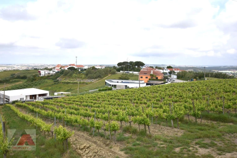 Terreno P/ Prédio para Venda em Santa Maria, São Pedro e Matacães Foto 12