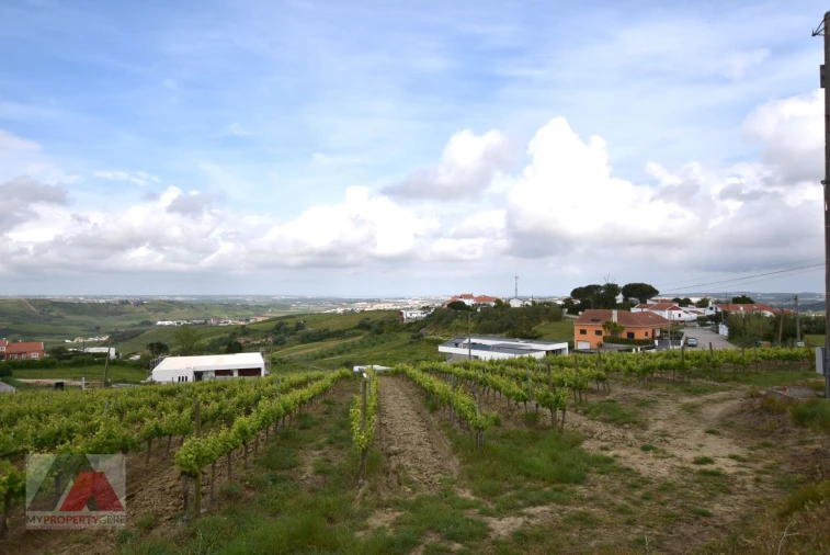 Terreno P/ Prédio para Venda em Santa Maria, São Pedro e Matacães Foto 13