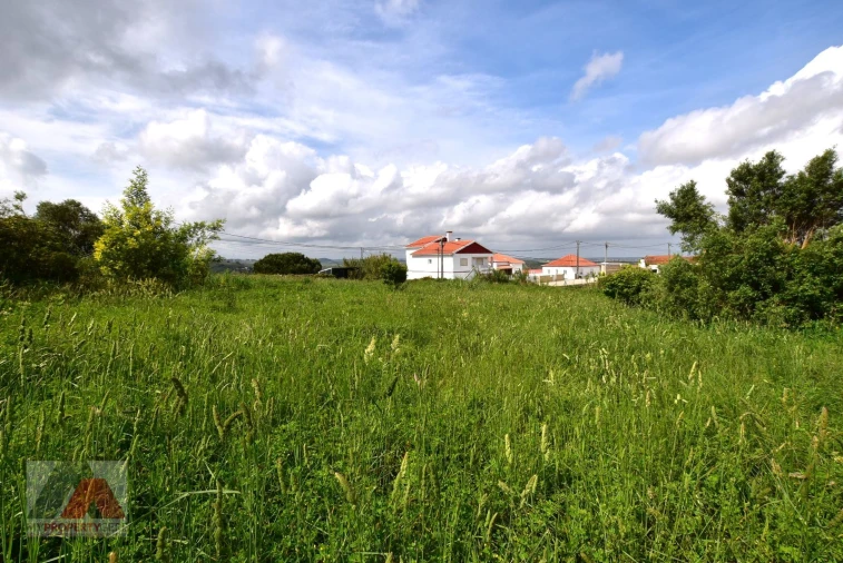 Terreno P/ Prédio para Venda em Santa Maria, São Pedro e Matacães Foto 15