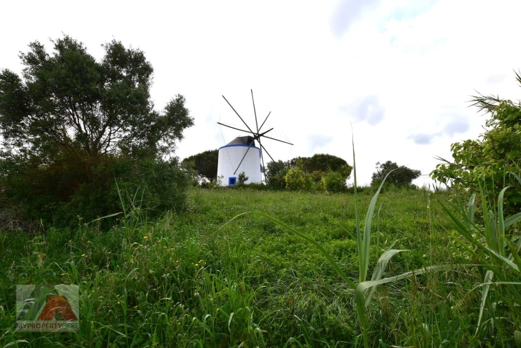Terreno P/ Prédio para Venda em Santa Maria, São Pedro e Matacães Foto 16