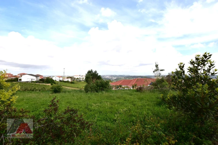 Terreno P/ Prédio para Venda em Santa Maria, São Pedro e Matacães Foto 25