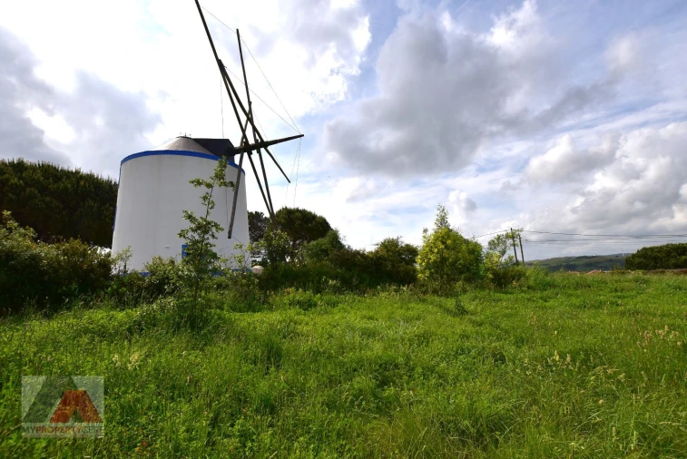 Terreno P/ Prédio para Venda em Santa Maria, São Pedro e Matacães Foto 18