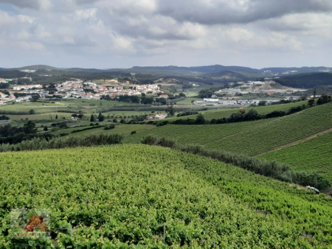 Terreno P/ Prédio para Venda em Santa Maria, São Pedro e Matacães Foto 17
