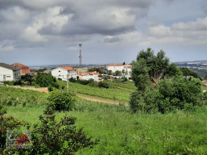 Terreno P/ Prédio para Venda em Santa Maria, São Pedro e Matacães Foto 22