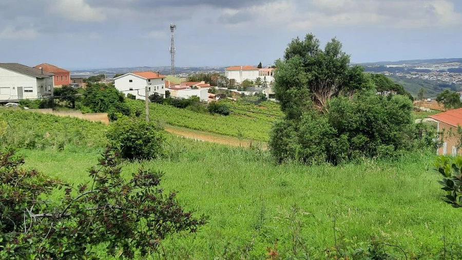 Terreno P/ Prédio para Venda em Santa Maria, São Pedro e Matacães
