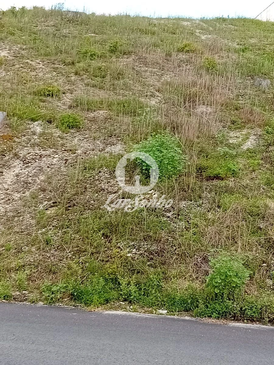 Terreno para Venda em Silvares, Pias, Nogueira e Alvarenga Foto 3