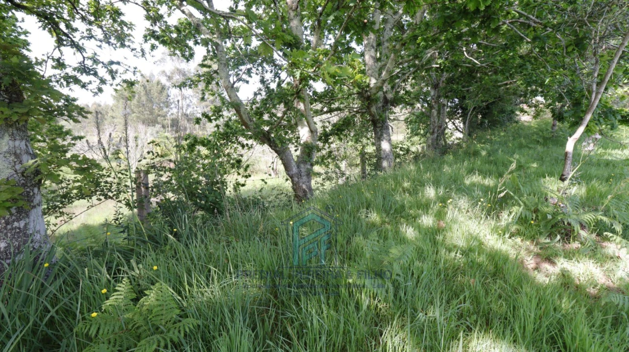 Terreno Misto para Venda em Melres e Medas Foto 17