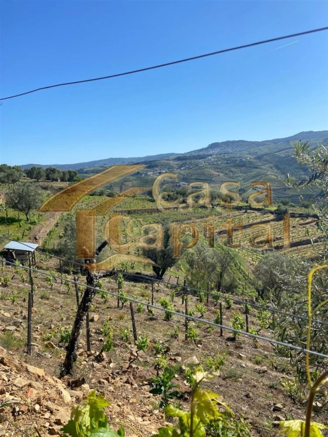 Quinta T0 para Venda em Sabrosa Foto 25