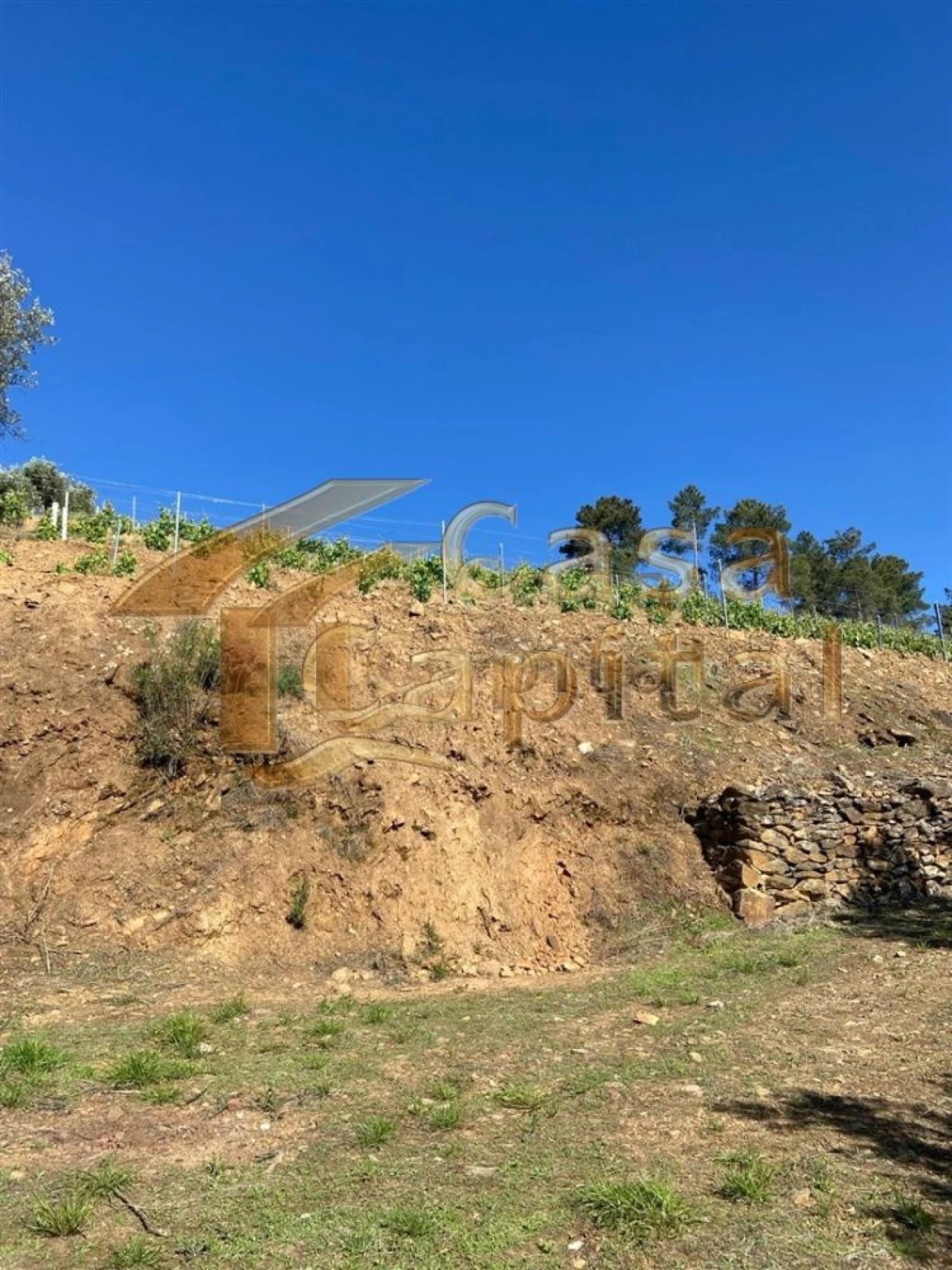 Quinta T0 para Venda em Sabrosa Foto 17