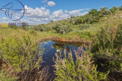 Moradia T3 para Venda em Estômbar e Parchal