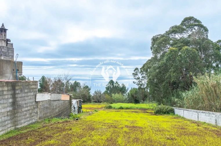 Terreno para Venda em Prazeres Foto 9
