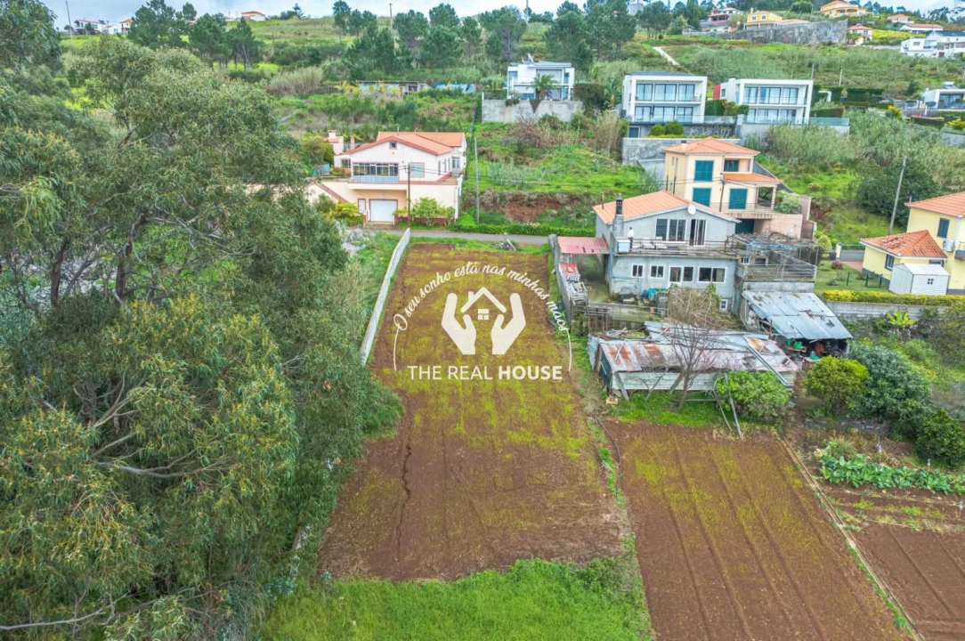 Terreno para Venda em Prazeres Foto 4
