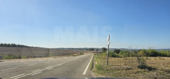 Terreno para Venda em Tramagal