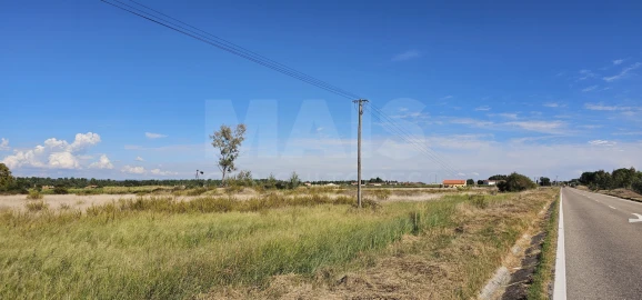 Terreno para Venda em Tramagal