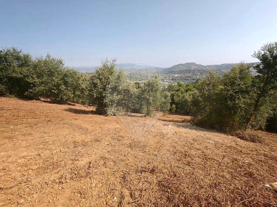 Terreno para Venda em Meca Foto 10