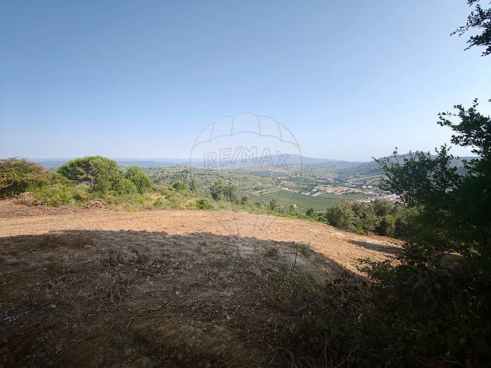 Terreno para Venda em Meca Foto 9