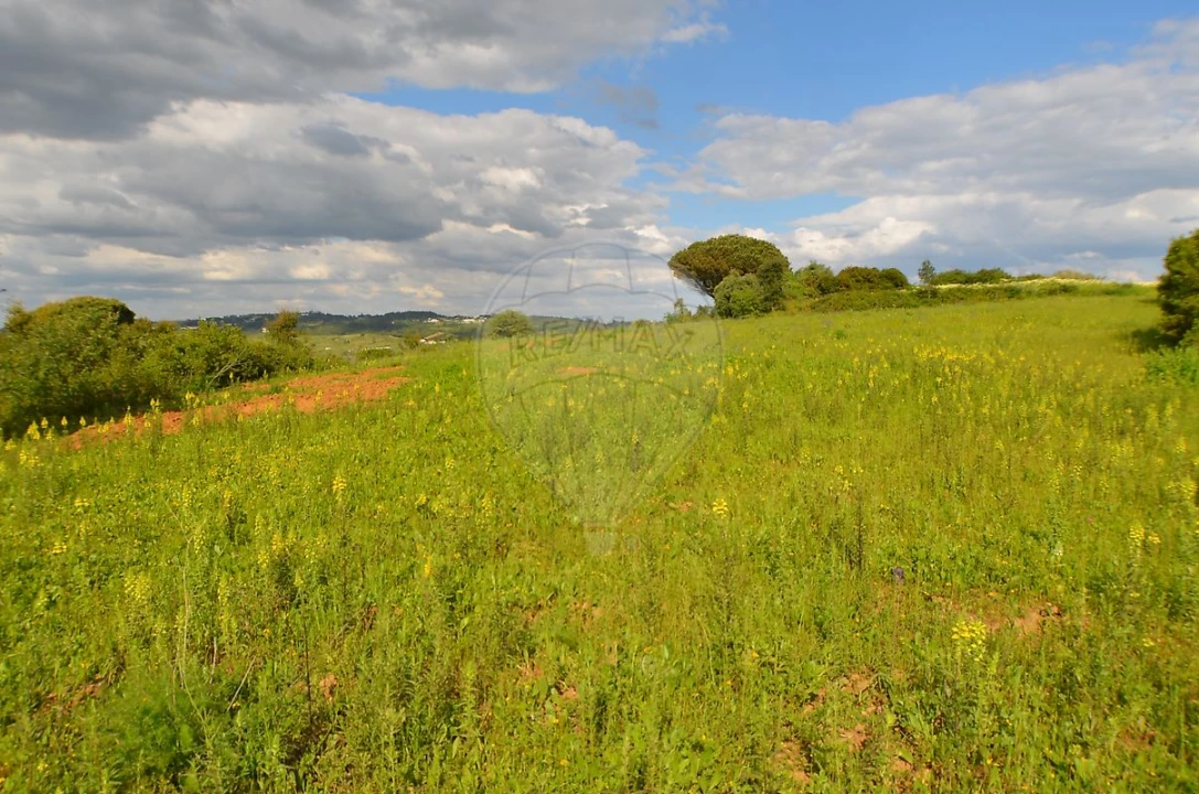 Terreno para Venda em Meca Foto 1