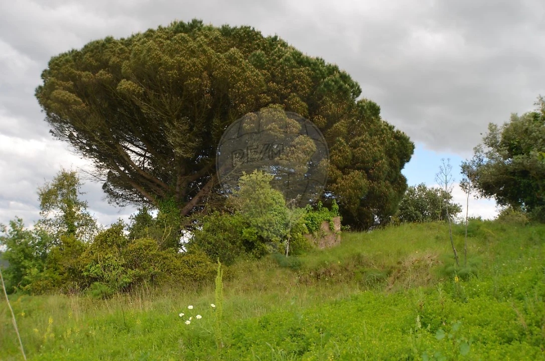 Terreno para Venda em Meca Foto 9