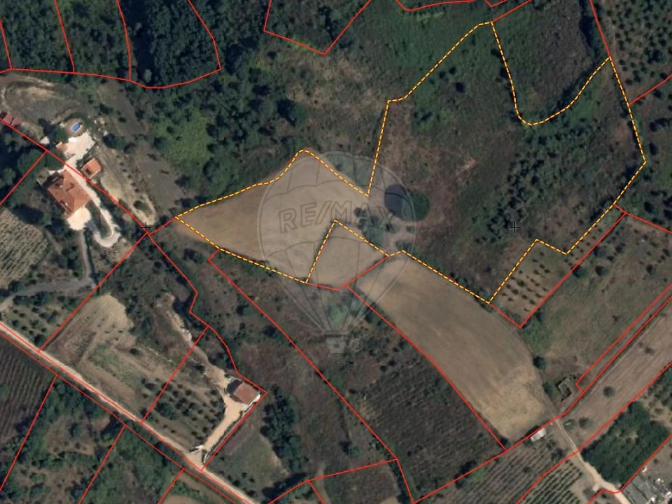 Terreno para Venda em Meca Foto 15