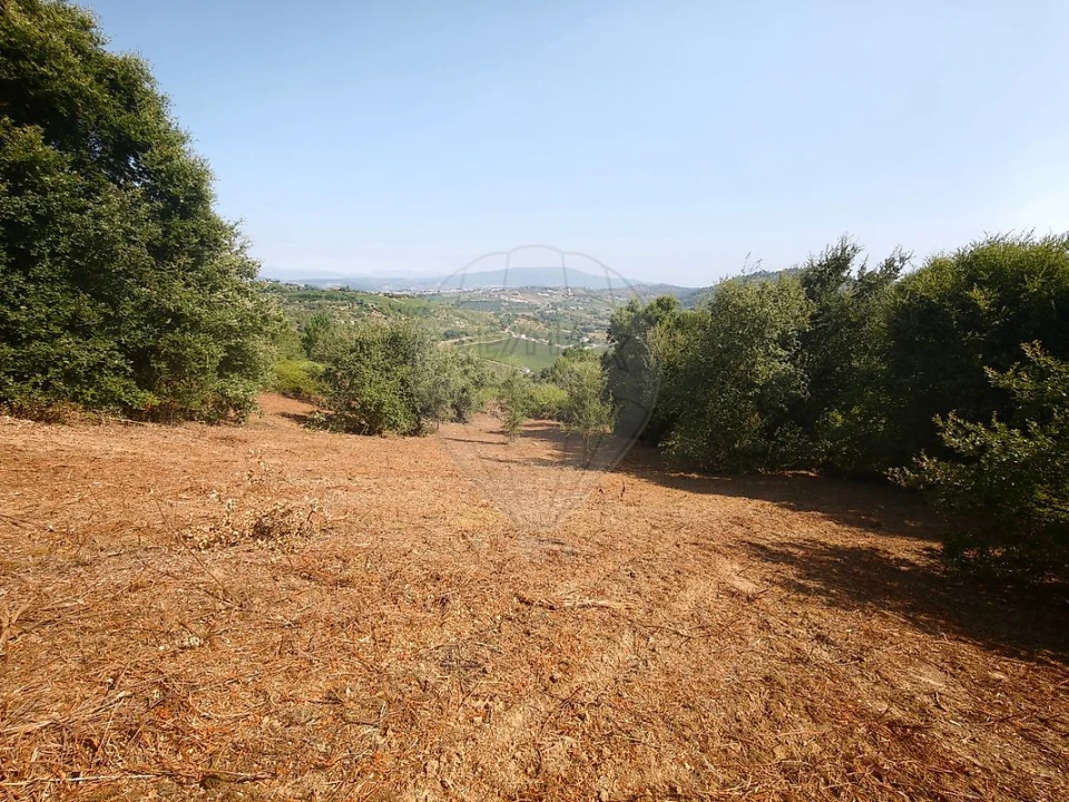 Terreno para Venda em Meca Foto 12
