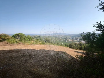 Terreno para Venda em Meca