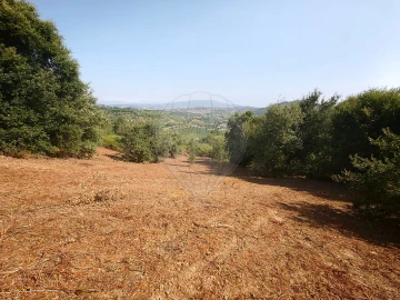 Terreno para Venda em Meca