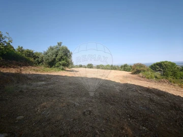 Terreno para Venda em Meca