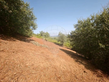 Terreno para Venda em Meca
