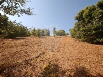 Terreno para Venda em Meca