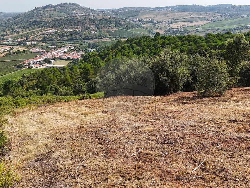 Terreno para Venda em Meca Foto 11