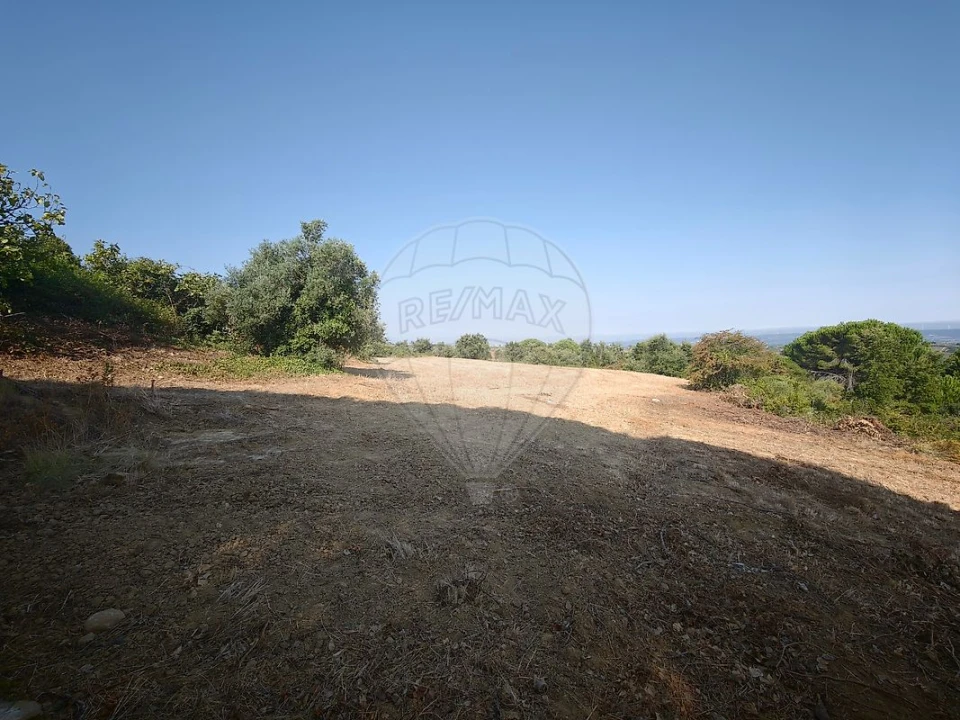 Terreno para Venda em Meca Foto 8