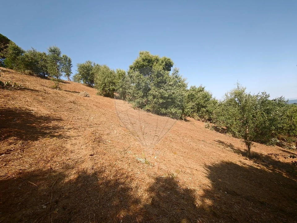 Terreno para Venda em Meca Foto 13