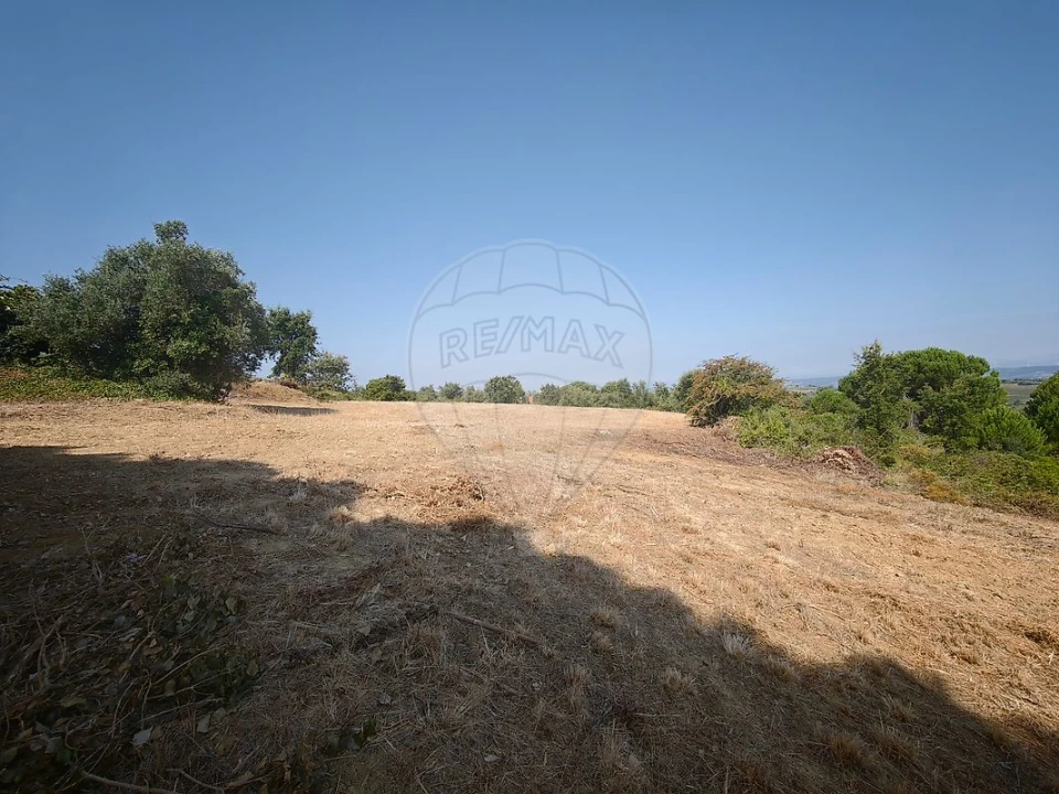 Terreno para Venda em Meca Foto 6