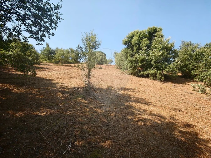 Terreno para Venda em Meca Foto 14