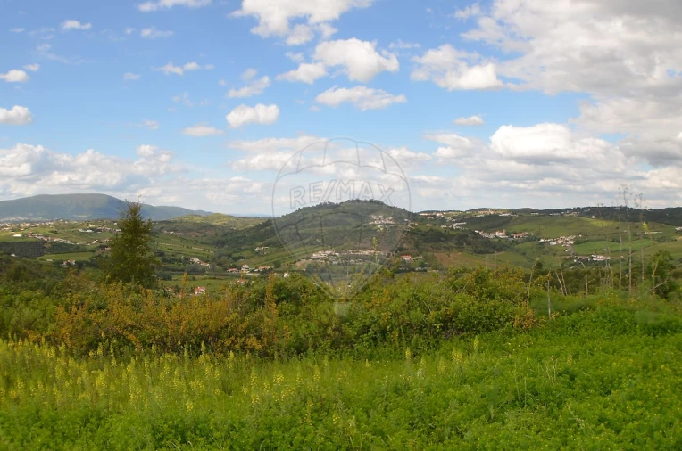 Terreno para Venda em Meca Foto 7