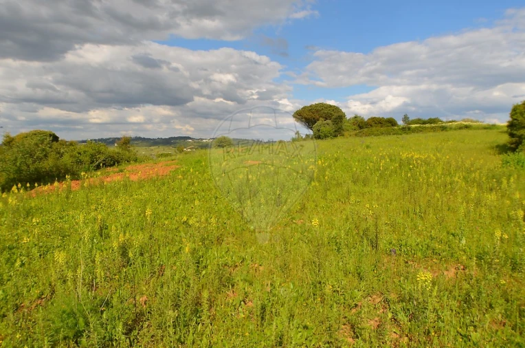 Terreno para Venda em Meca Foto 2