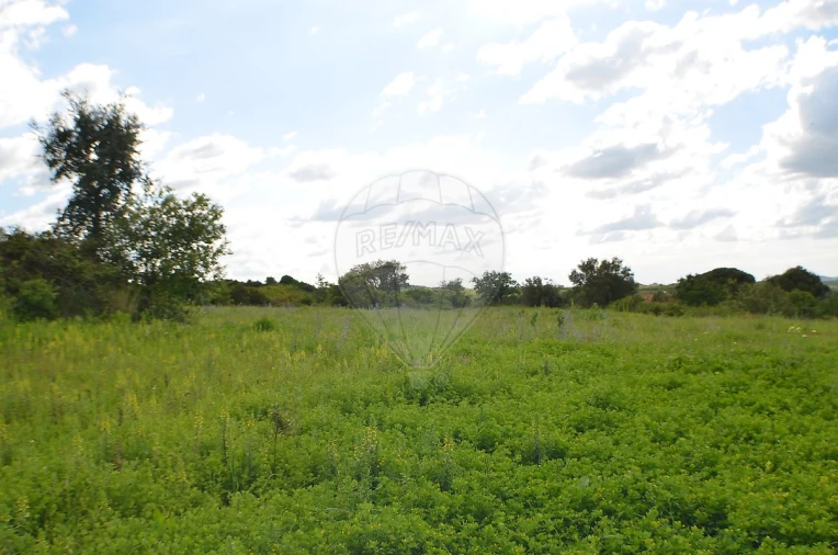 Terreno para Venda em Meca Foto 6