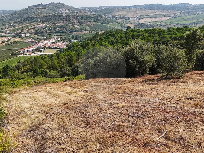 Terreno para Venda em Meca Foto 11