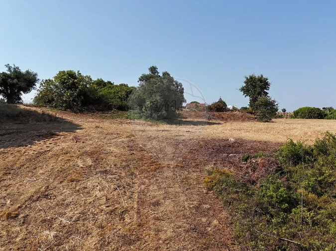 Terreno para Venda em Meca Foto 2