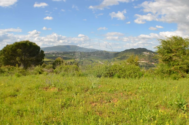Terreno para Venda em Meca Foto 3