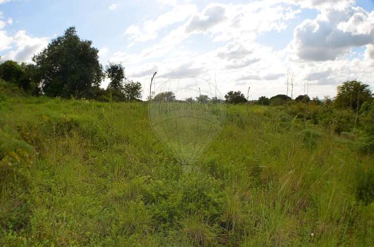 Terreno para Venda em Meca Foto 9